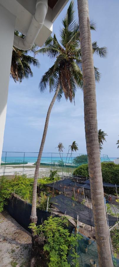 Cowry Inn Đảo Đảo Fulidhoo Ngoại thất bức ảnh